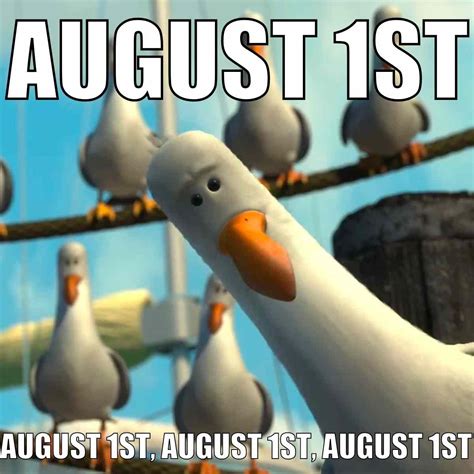 Birthday Month Memes August