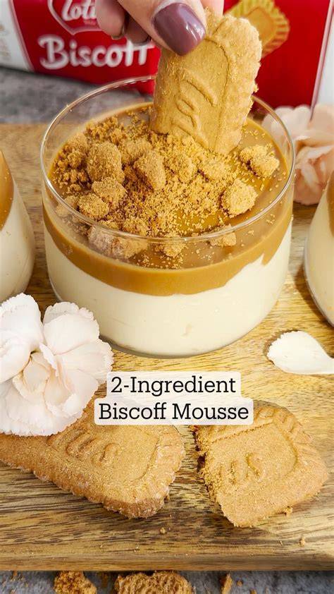 Easy No-Bake Biscoff Dessert Recipe – Creamy Lotus Biscoff Icebox Cake Everyone Loves!