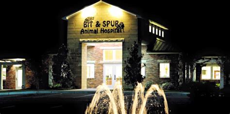 Top-Quality Care for Your Furry Friends at Bit and Spur Animal Hospital in Mobile, AL