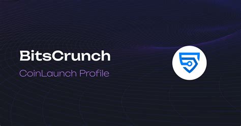 BitCrunch Startup Program