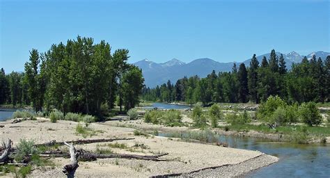 Bitterroot River Flows Bell Crossing