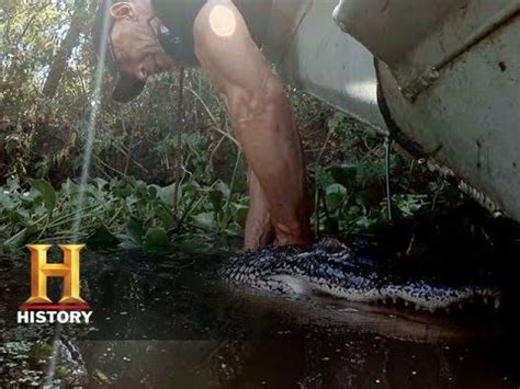 Bizarre Behavior Gator Plays Dead to Avoid Capture