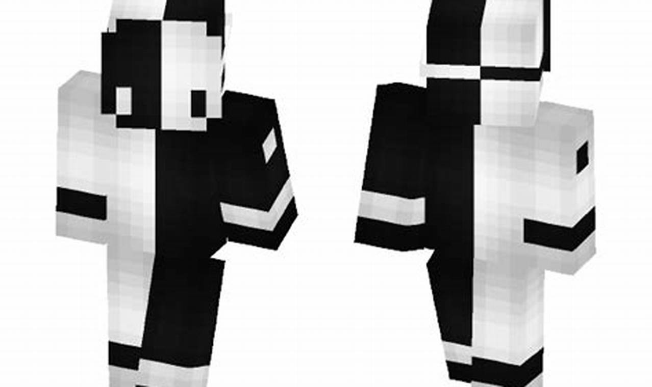 Black And White Minecraft Skin