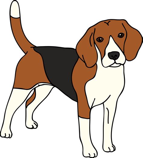 Black Beagle Clipart: A Unique Addition To Your Dog Collection