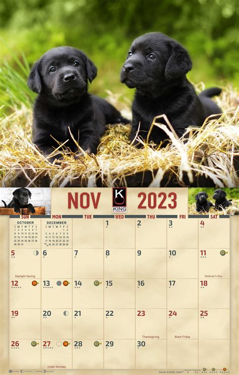 Black Labrador Retrievers Calendar 2023 Animal Den