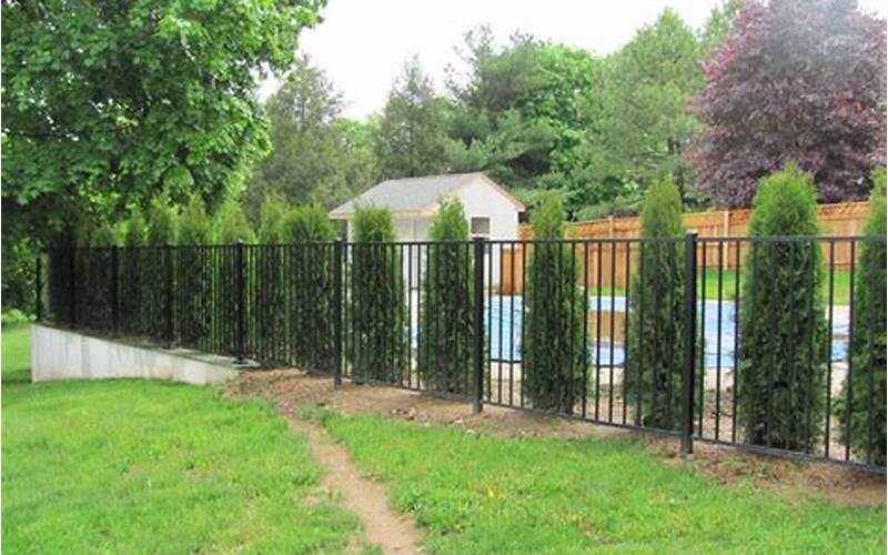 Black Metal Privacy Fence Trees