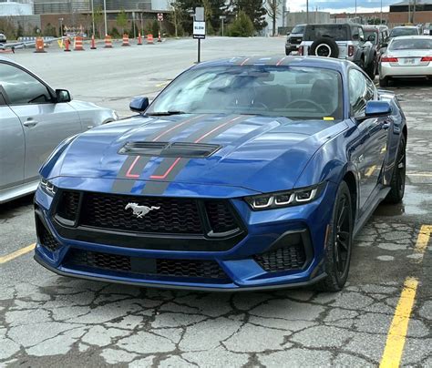 Black And Blue Mustang
