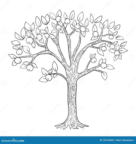 Black And White Apple Tree Drawing