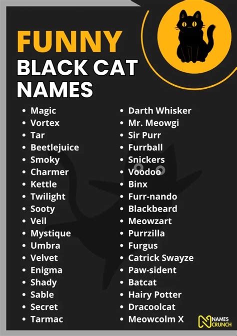 Black Cat Names Funny
