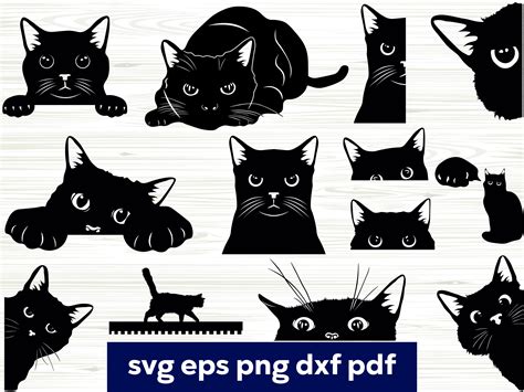 Download Black Cat SVG Bundle, Cat Svg, Moon... Printable
