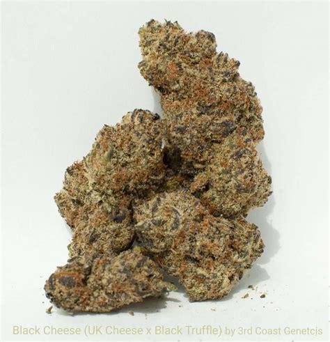 Black Cheese Weed