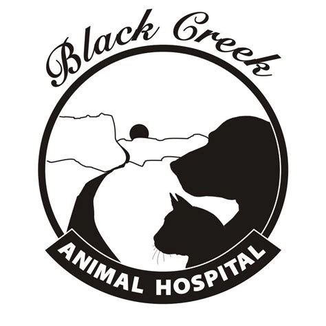 Welcome to Black Creek Animal Hospital: Your Trusted Veterinarian in Fulton, NY
