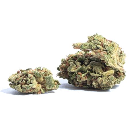 Black Dog Weed