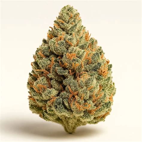 Black Fire Weed Strain