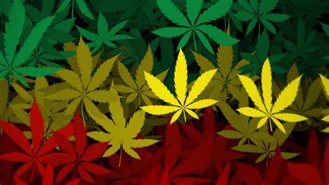 Black Flag Weed