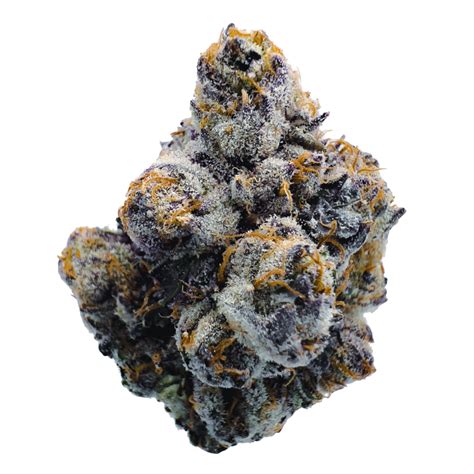 Black Hawk Weed Strain