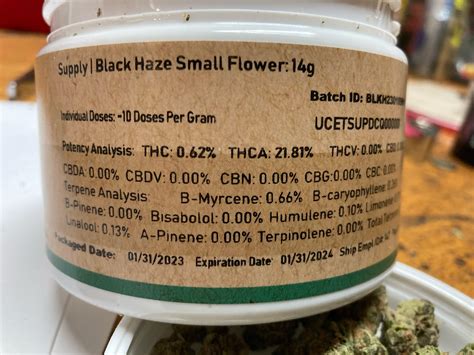 Black Haze Weed