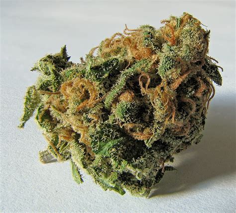 Black Queen Weed