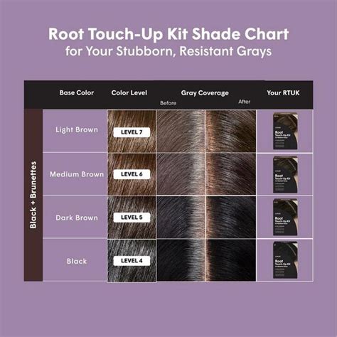 Black Root Touch Up