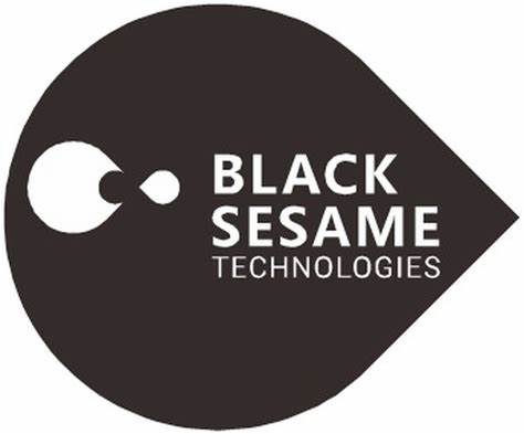 Black Sesame Technologies (Singapore) Pte Ltd