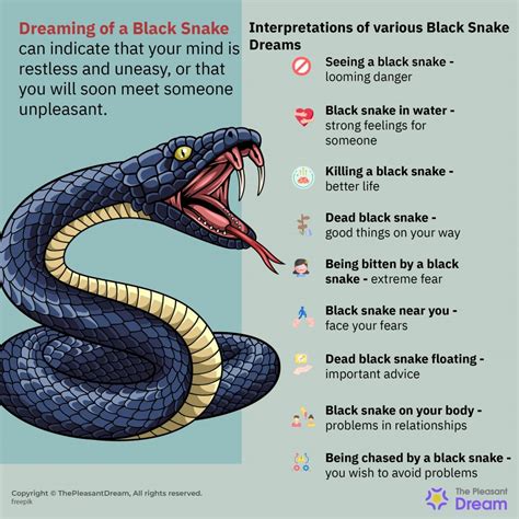 Black Snake In Dream
