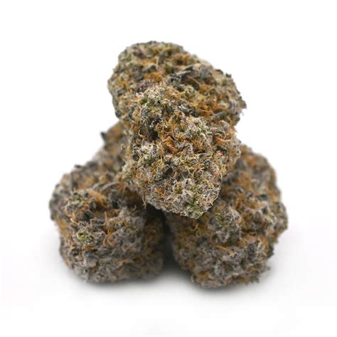 Black Truffle Weed Strain
