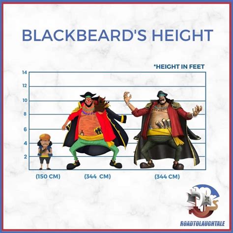 Blackbeard Height One Piece