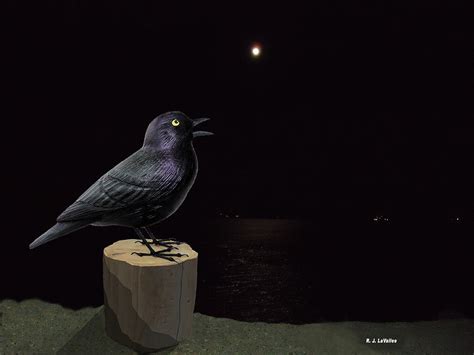 Blackbird Singing at Night