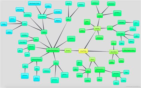 network tree graphic organizer