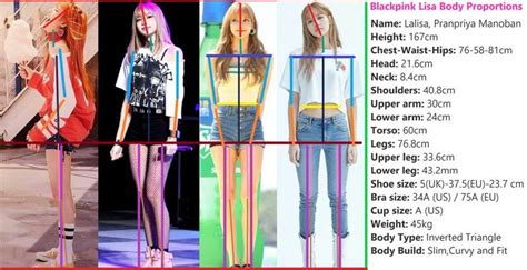 Blackpink Body Shape