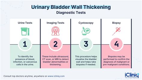 Bladder Wall Thickening