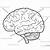 Blank Diagram Of The Human Brain