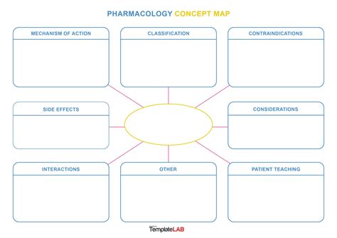 40+ Concept Map Templates [Hierarchical, Spider, Flowchart]