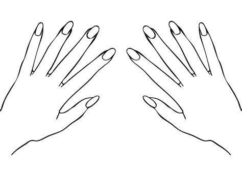 Blank Fingernail Template