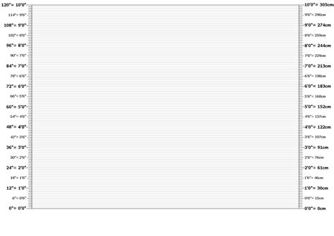 Blank Height Comparison Chart