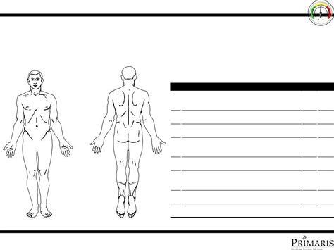 Download Blank Printable Skin Assessment Form for Accurate Evaluations