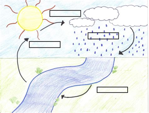 Blank Water Cycle Diagram