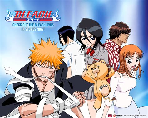 Bleach Anime Fandom