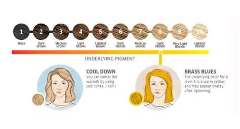 Bleach Hair Chart