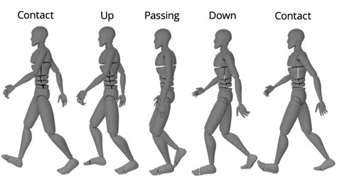 Step up your animation game with Blender: Learn to create realistic walking animations