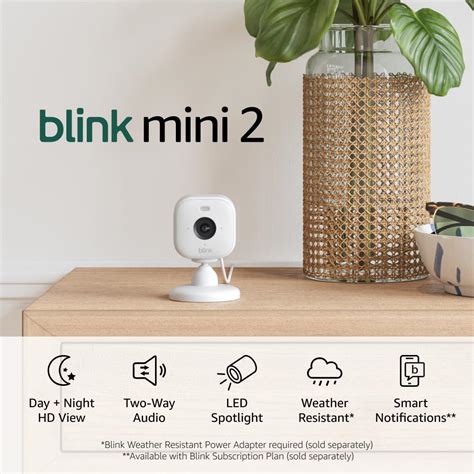 Blink Mini price and availability