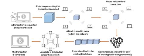 Blockchain Nodes: Gateway to Decentralized Networks