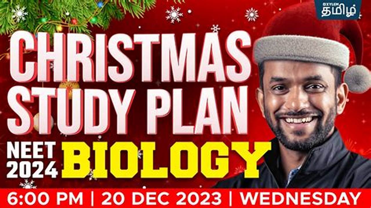 Blogto Christmas 2024 Neet