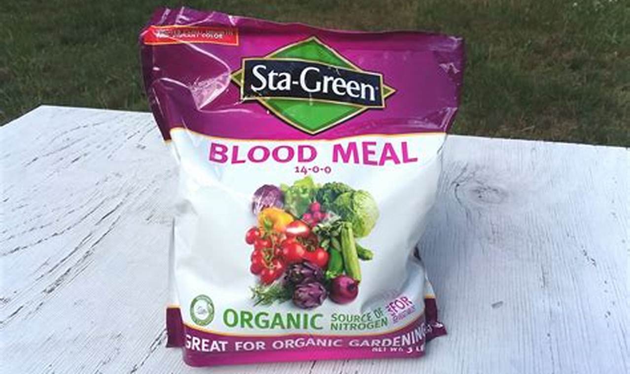 Blood Meal For Plants