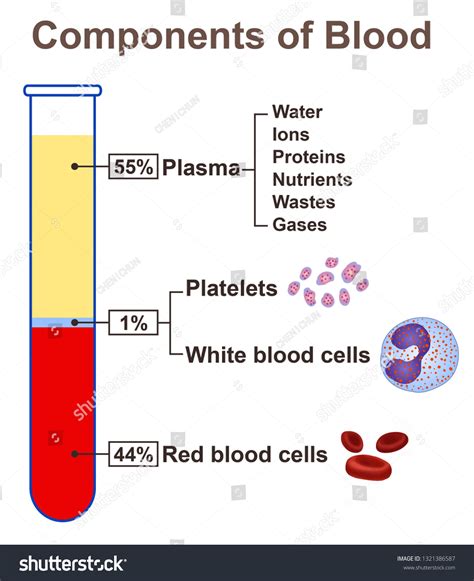 Blood Components Chart
