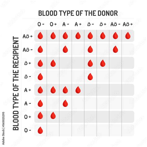Blood Donation Group Chart