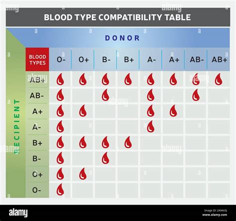 Blood Donor Recipient Chart