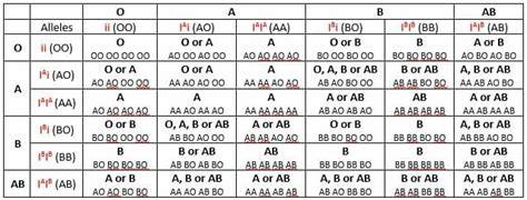 Blood Group Inheritance Chart