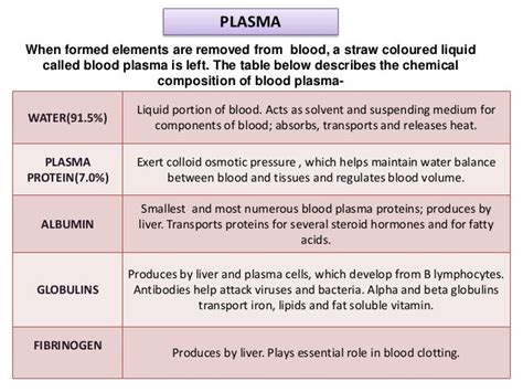 Blood Plasma: Functions & Vital Role Explained.