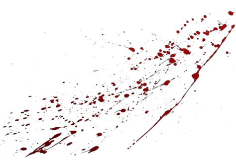 The Unseen Horror of Blood Splatter: A Chilling Tale